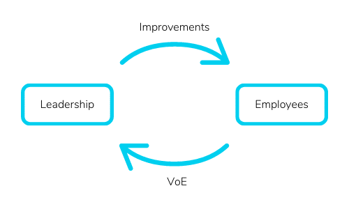 Graphic Showing Cycle Between Employees, VoE, Leadership & Improvement