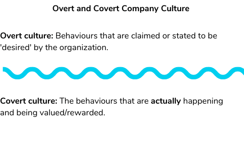 Graphic Showing Difference between Covert and Overt Company Cultures - iTacit