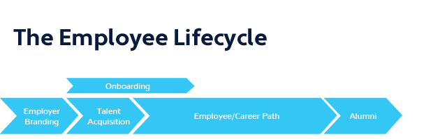 Employee Lifecycle Graphic with Steps from Onboarding to Alumni - iTacit