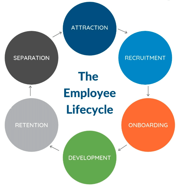 A graphic showing the employee lifecycle.